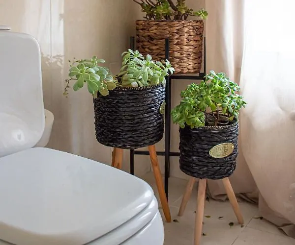 O'porto Seven - Pensión 4*