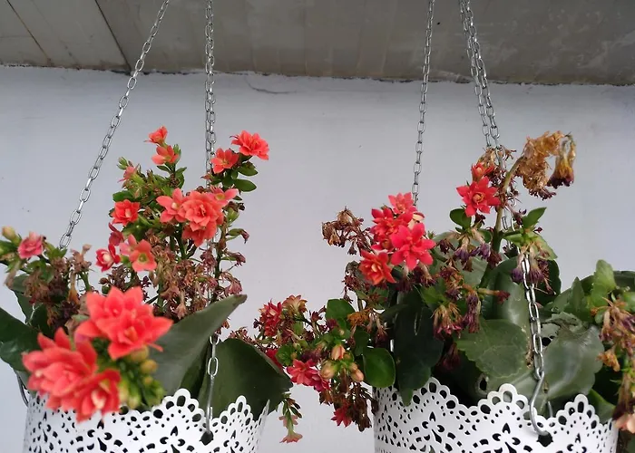 Casa de hóspedes O'porto Seven - Porto