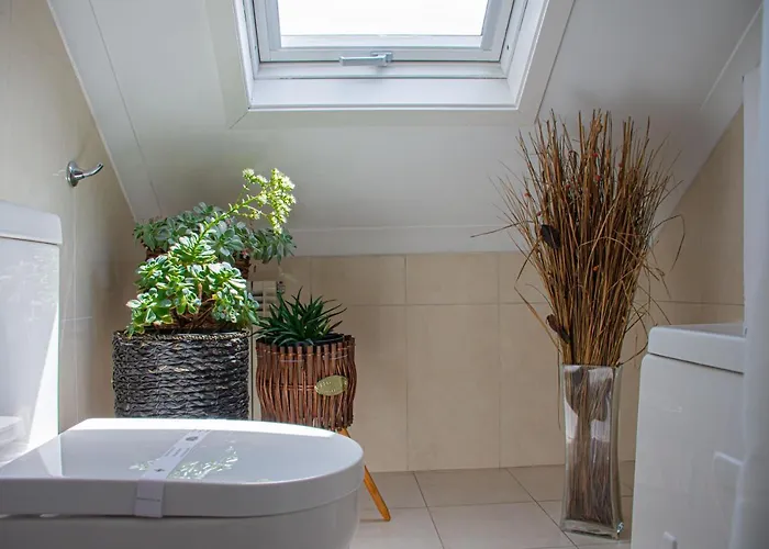 O'porto Seven - Oporto