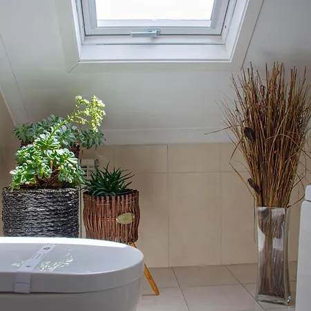 O'porto Seven - Porto