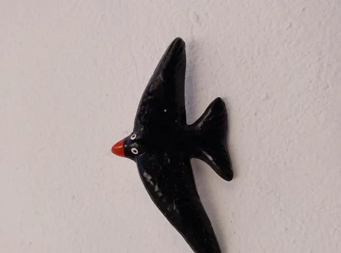 オポルト セブン ゲスト ハウス